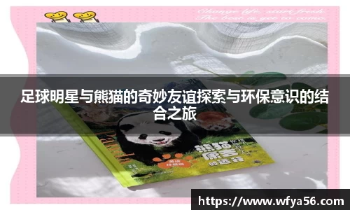 k1体育-十年品牌